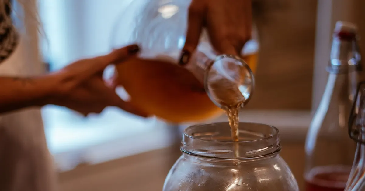 Brewed tea being poured into a glass jar, the first step in preparing a kombucha batch with green tea